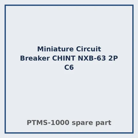 Miniature Circuit Breaker CHINT NXB-63 2P C6 – PTMS